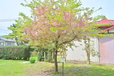 安禅寺(新潟県)