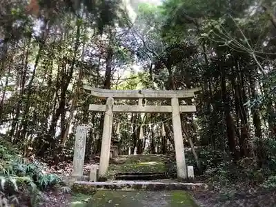 坂手神社の鳥居