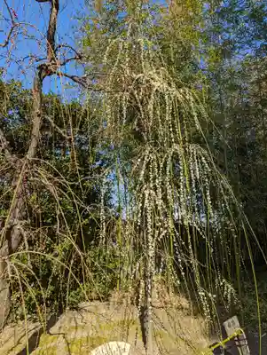 城南宮(京都府)