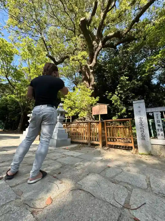 和泉國一之宮 大鳥大社(大阪府)