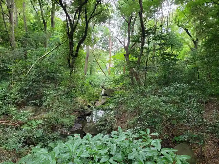 明治神宮の自然
