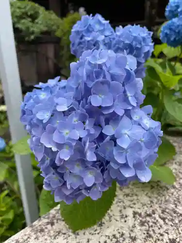 白山神社の自然