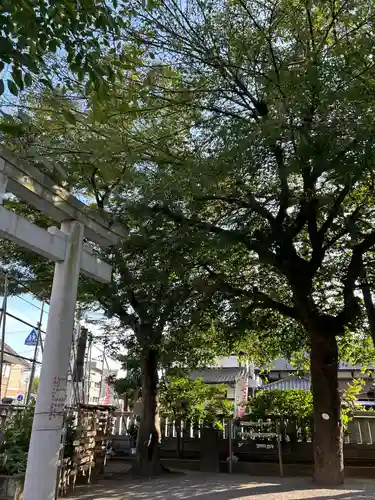 清瀧神社(千葉県)