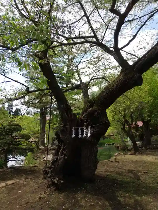 松尾院(山形県)