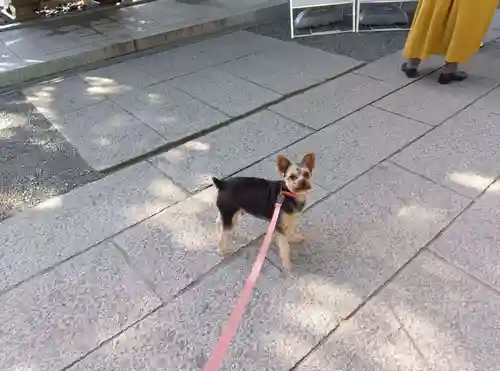 森戸大明神（森戸神社）(神奈川県)