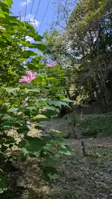 本照寺(京都府)