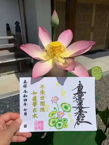 上行寺の御朱印