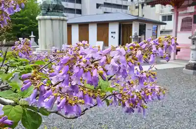 津観音(三重県)