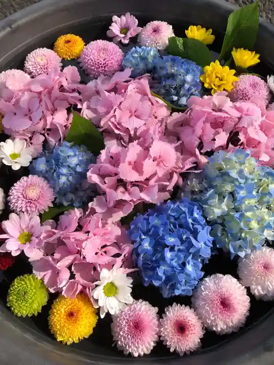 鹿島台神社の手水舎