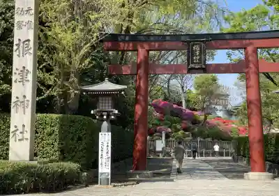 根津神社の鳥居
