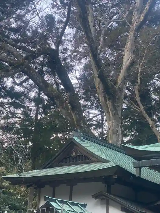 丹生川上神社(下社)(奈良県)