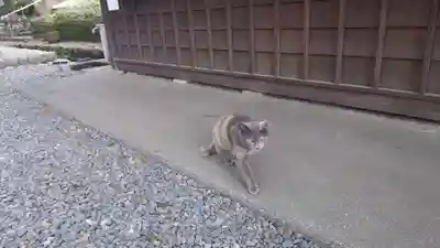 事任八幡宮(静岡県)