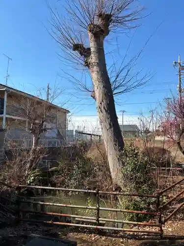 弁財天(千葉県)