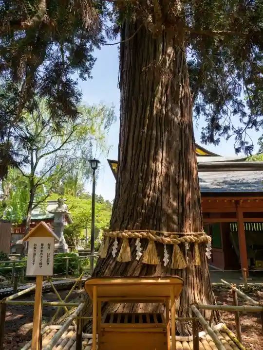 志波彦神社・鹽竈神社の{uncategorized: "未分類", other: "その他", undefined: "問題あり", building: "その他建物", grave: "お墓", sacred_gate: "鳥居", guardian: "狛犬", statue: "像", buddha: "仏像", history: "歴史", nature: "自然", garden: "庭園", animal: "動物", pagoda: "塔", temizu: "手水舎", mountain_gate: "山門・神門", sanctuary: "本殿・本堂", subordinate: "末社・摂社", art: "芸術", scenery: "景色", jizo: "地蔵", ema: "絵馬", goshuin: "御朱印", omikuji: "おみくじ", items: "授与品その他", amulet: "お守り", goshuincho: "御朱印帳", eats: "食事", festival: "お祭り", votive_dance: "神楽", shichigosan: "七五三参", wedding: "結婚式", experience: "体験その他", initially: "初詣", around: "周辺", anti_infection: "感染症対策"}