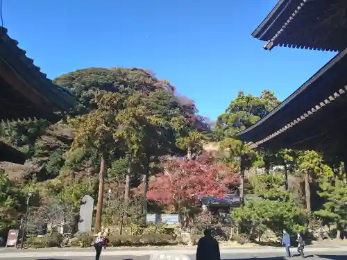 建長寺 半僧坊(神奈川県)