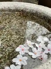 北野天満神社の手水