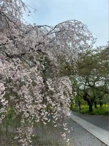 平野神社(京都府)