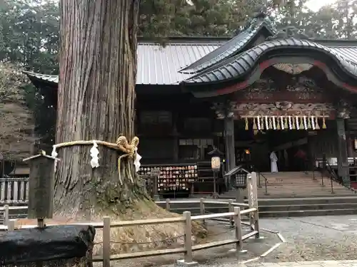 北口本宮冨士浅間神社の本殿