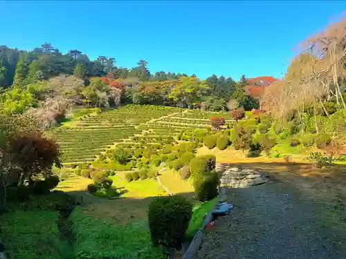 零羊崎神社の景色