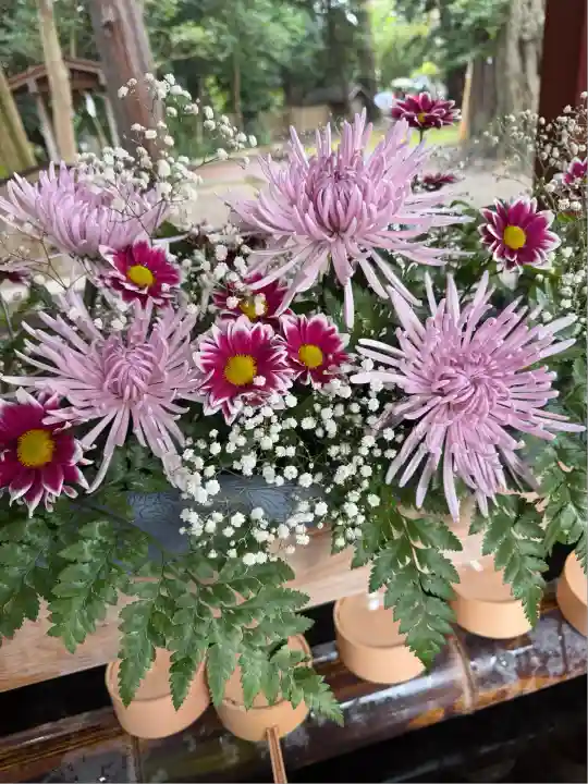 武蔵一宮氷川神社(埼玉県)