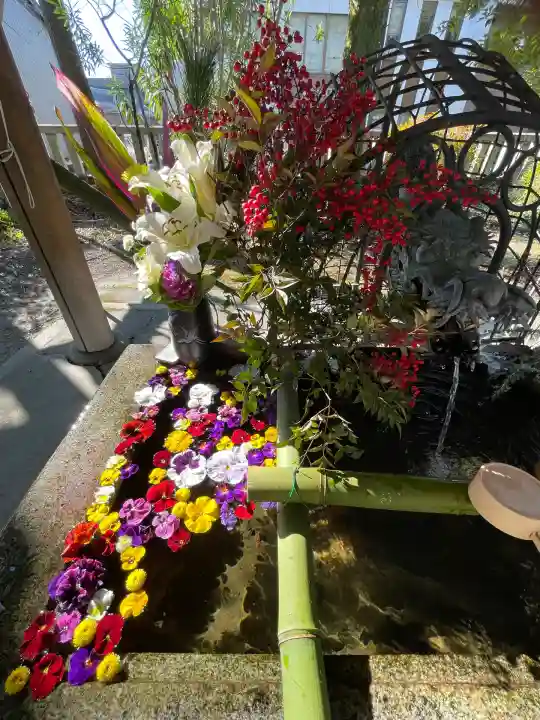 白金龍王社(愛知県)