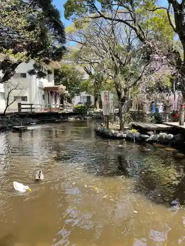 平塚八幡宮(神奈川県)