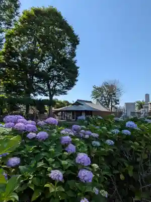 妙法寺(東京都)
