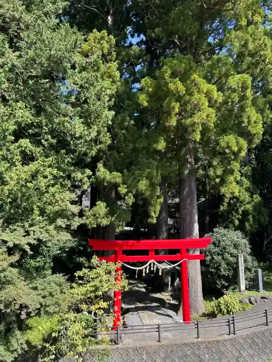 須山浅間神社(静岡県)
