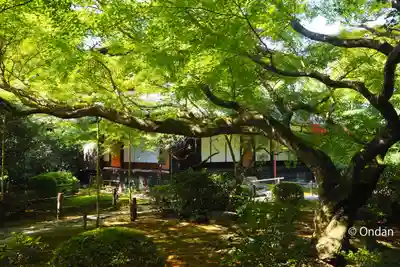 青蓮院門跡(京都府)