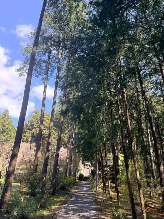 日光大室高龗神社の{uncategorized: "未分類", other: "その他", undefined: "問題あり", building: "その他建物", grave: "お墓", sacred_gate: "鳥居", guardian: "狛犬", statue: "像", buddha: "仏像", history: "歴史", nature: "自然", garden: "庭園", animal: "動物", pagoda: "塔", temizu: "手水舎", mountain_gate: "山門・神門", sanctuary: "本殿・本堂", subordinate: "末社・摂社", art: "芸術", scenery: "景色", jizo: "地蔵", ema: "絵馬", goshuin: "御朱印", omikuji: "おみくじ", items: "授与品その他", amulet: "お守り", goshuincho: "御朱印帳", eats: "食事", festival: "お祭り", votive_dance: "神楽", shichigosan: "七五三参", wedding: "結婚式", experience: "体験その他", initially: "初詣", around: "周辺", anti_infection: "感染症対策"}