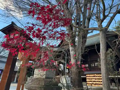 四柱神社(長野県)