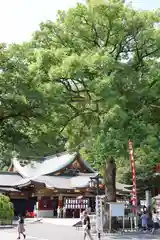 祐徳稲荷神社(佐賀県)