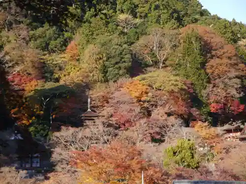 談山神社の景色