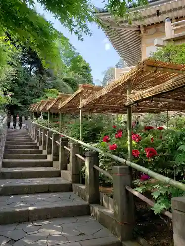 東長谷寺　薬王院の庭園