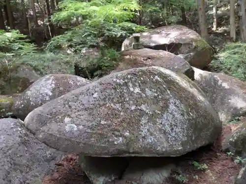 名草厳島神社の自然
