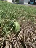 八幡神社(岐阜県)