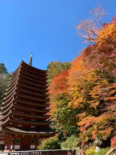 談山神社の景色