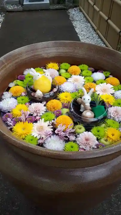 最明寺の手水舎