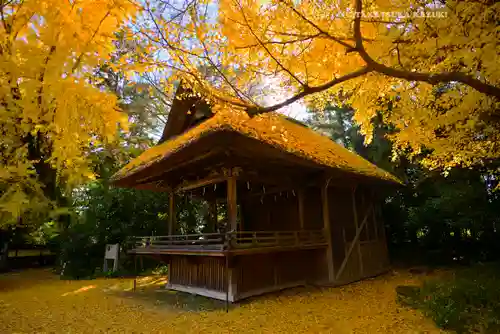 玉敷神社(埼玉県)