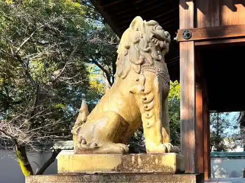 深川神社の狛犬