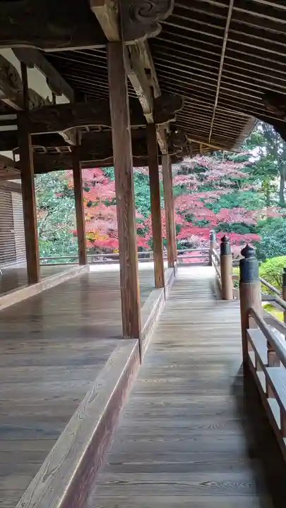 隨心院(随心院)(京都府)
