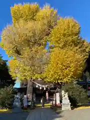 亀ケ池八幡宮(神奈川県)