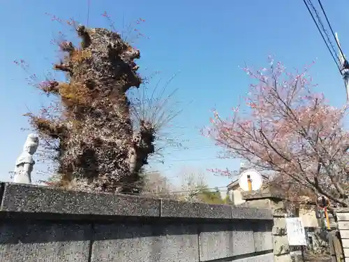 中峠弥陀堂（中峠阿弥陀堂）のその他建物