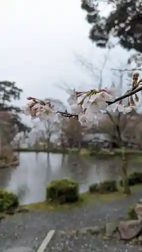 大原野神社(京都府)