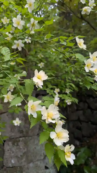 椎尾神社(大阪府)