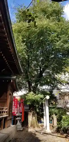 櫻木神社のその他建物
