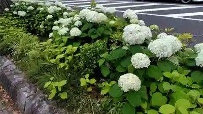 船喜多神社(神奈川県)