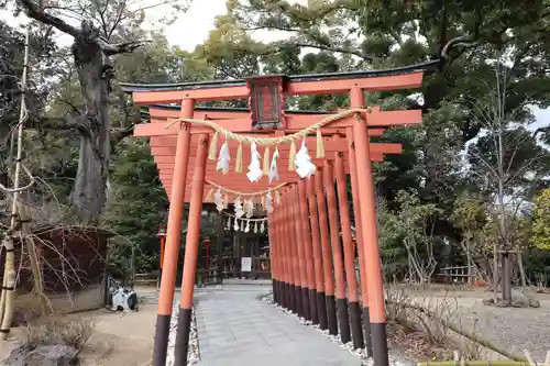 辛國神社の鳥居