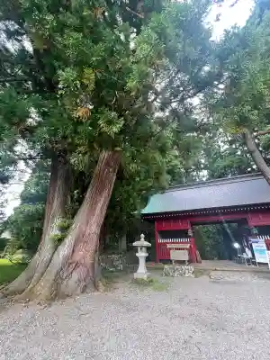 羽黒山五重塔(出羽三山神社)の{uncategorized: "未分類", other: "その他", undefined: "問題あり", building: "その他建物", grave: "お墓", sacred_gate: "鳥居", guardian: "狛犬", statue: "像", buddha: "仏像", history: "歴史", nature: "自然", garden: "庭園", animal: "動物", pagoda: "塔", temizu: "手水舎", mountain_gate: "山門・神門", sanctuary: "本殿・本堂", subordinate: "末社・摂社", art: "芸術", scenery: "景色", jizo: "地蔵", ema: "絵馬", goshuin: "御朱印", omikuji: "おみくじ", items: "授与品その他", amulet: "お守り", goshuincho: "御朱印帳", eats: "食事", festival: "お祭り", votive_dance: "神楽", shichigosan: "七五三参", wedding: "結婚式", experience: "体験その他", initially: "初詣", around: "周辺", anti_infection: "感染症対策"}