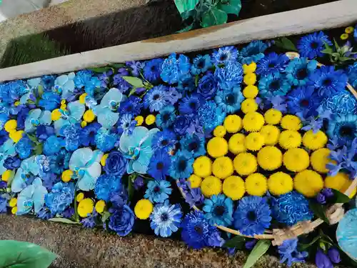 津島神社の手水舎